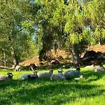 Draget Gard, Historisk Vaningshus Ved Sjoen, Rett Utenfor Nyaraló