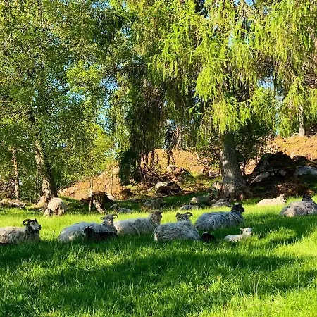 Draget Gard, Historisk Vaningshus Ved Sjoen, Rett Utenfor Holiday home