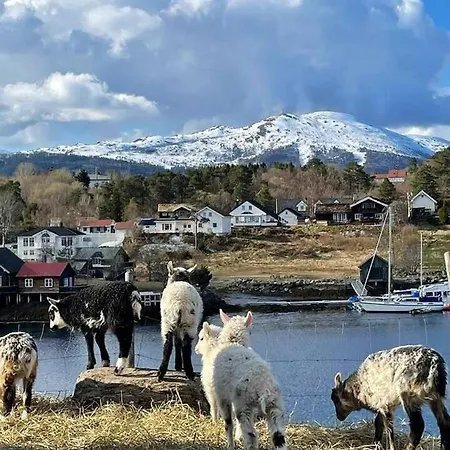 Holiday home Draget Gard, Historisk Vaningshus Ved Sjoen, Rett Utenfor