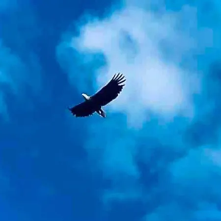 Draget Gard, Historisk Vaningshus Ved Sjoen, Rett Utenfor * Molde