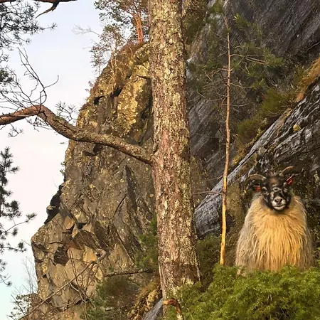 Draget Gard, Historisk Vaningshus Ved Sjoen, Rett Utenfor Ferienhaus Molde