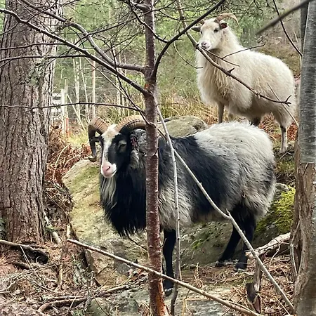 Feriehus Draget Gard, Historisk Vaningshus Ved Sjoen, Rett Utenfor Molde