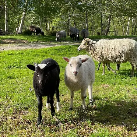 Semesterbostad Draget Gard, Idyllisk Smabruk Ved Sjoen