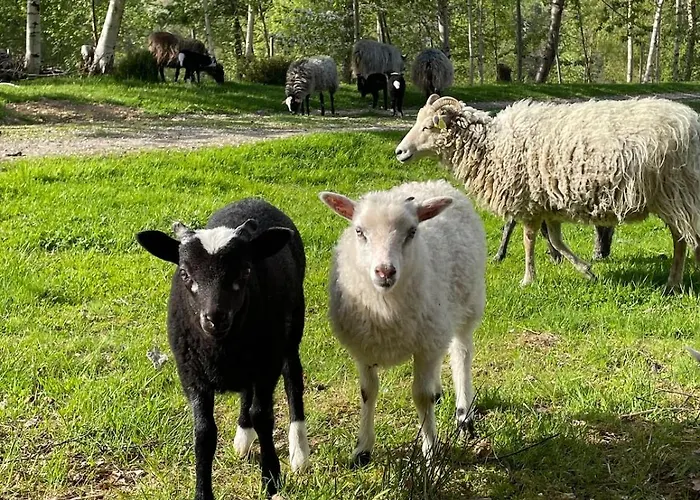 Ferienhaus Draget Gard, Historisk Vaningshus Ved Sjoen, Rett Utenfor